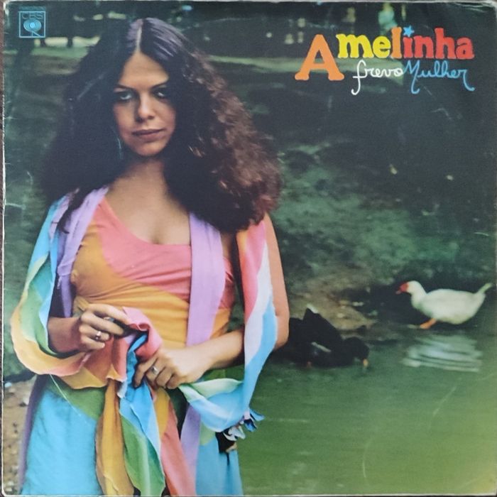 Disvos de Vinil vários autores