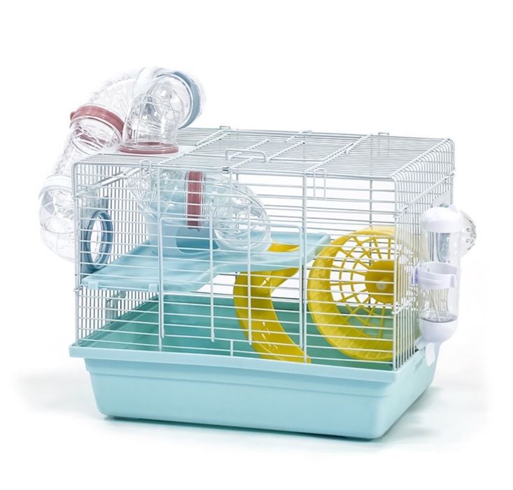 Пацючки дамбо, маленькі щурятка