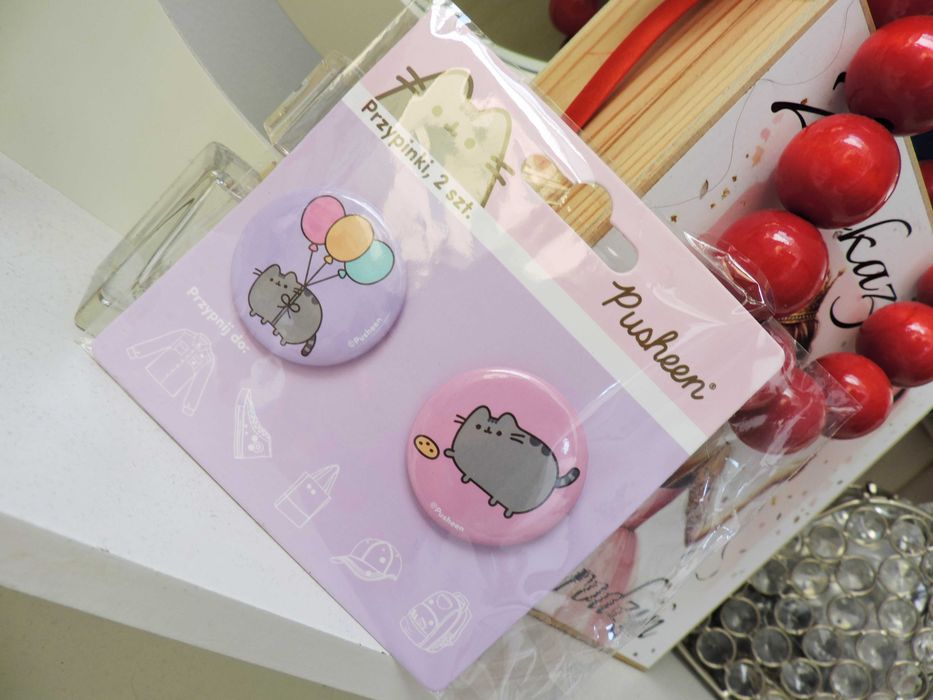 Pusheen Przypinki kotek