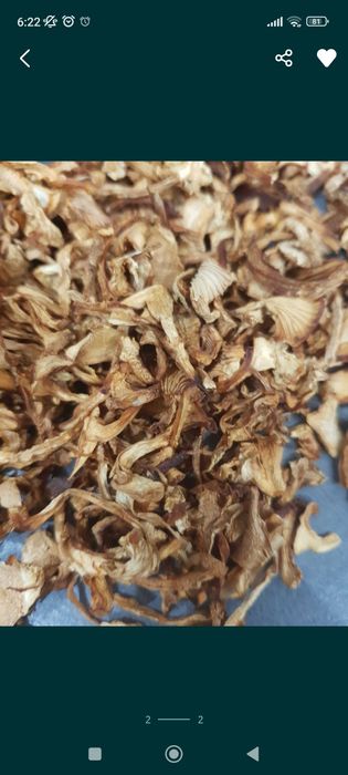 Kurka suszona pieprznik jadalny 100 g 40zł