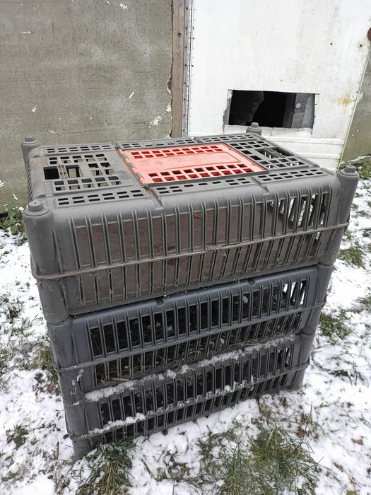 Klatki transportowe dla drobiu