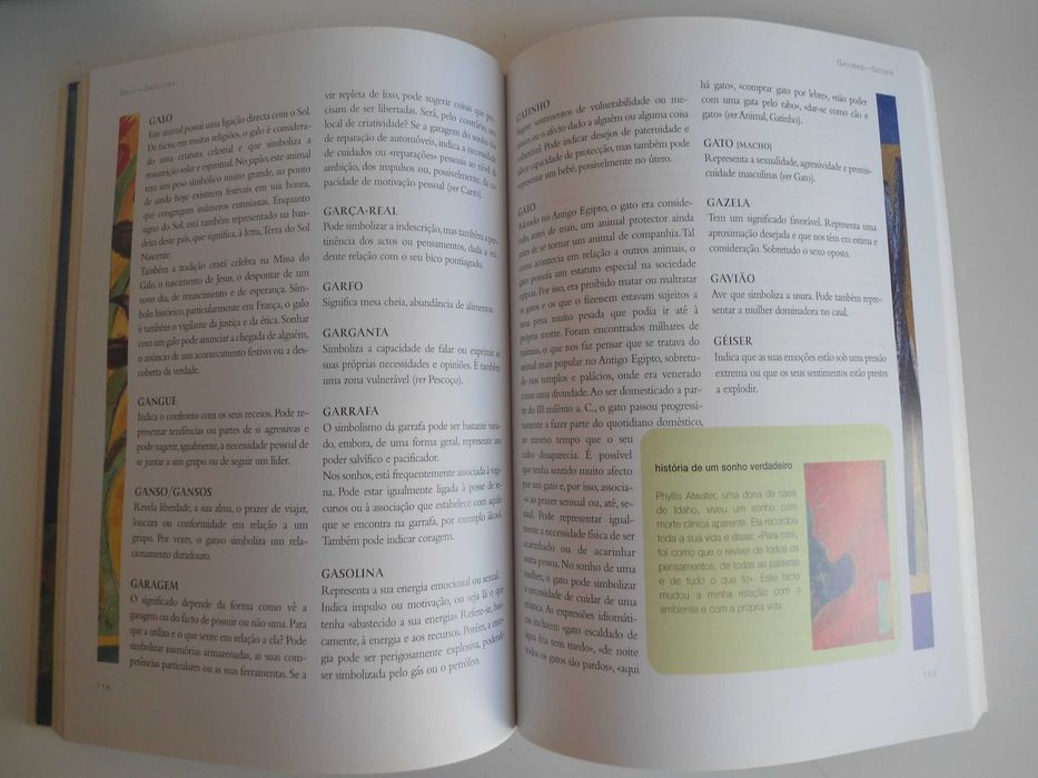 O Intérprete dos sonhos por Tony  Crisp