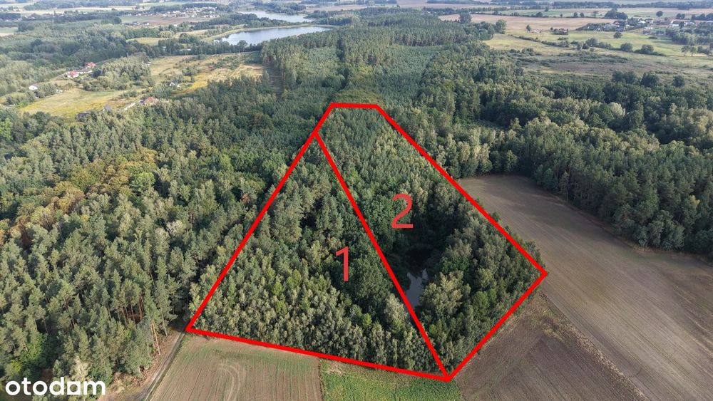 Działka Stargard Kiczarowo | Warunki zabudowy | 2 domy