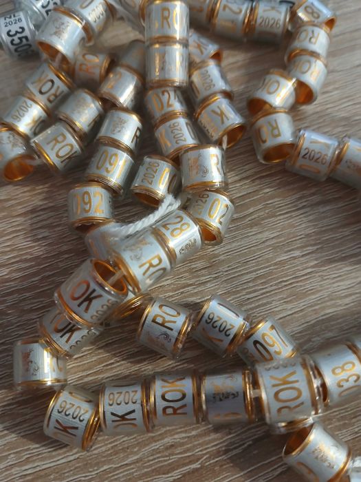 Obrączki dla gołębi pocztowych 2026