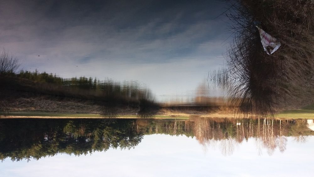 Gospodarstwo rolne, siedlisko