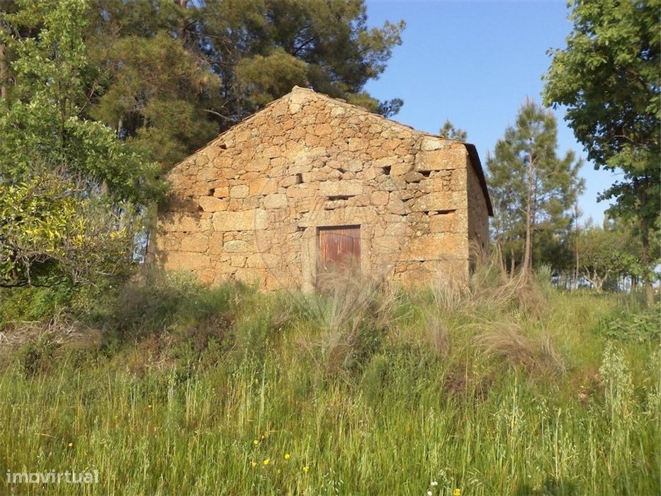 Quinta  para venda — Vale De Prazeres E Mata Da Rainha, Castelo Branco