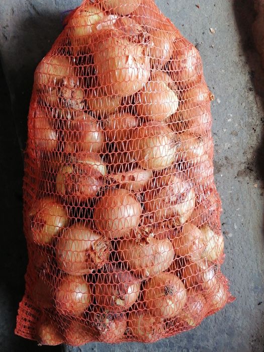 Paczka warzyw bezpośrednio z gospodarstwa od rolnika wysyłka inpost