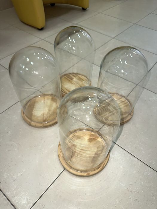 Campânulas de vidro transparente
