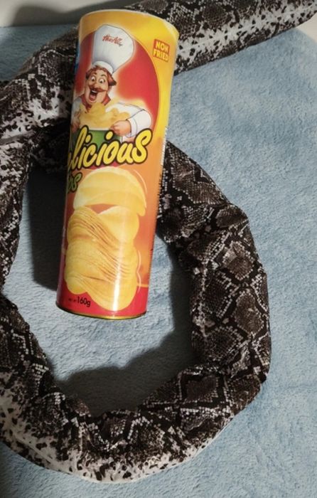 Cobra que salta do pacote (troll)