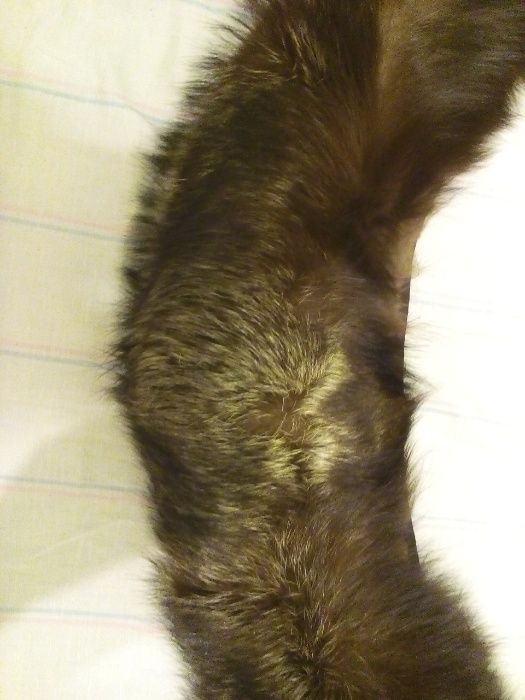 Чернобурка большой натуральный меховой воротник