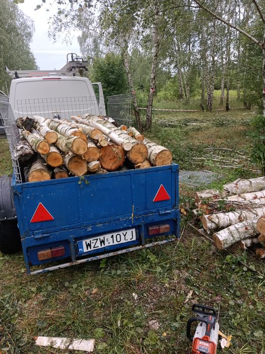 Drewno kominkowe