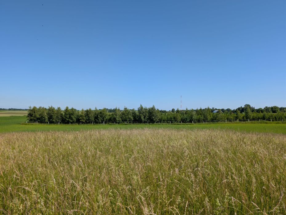 Mikołajki Tałty - Woźnice Działki 3000 - 4500mkw - Widok 4