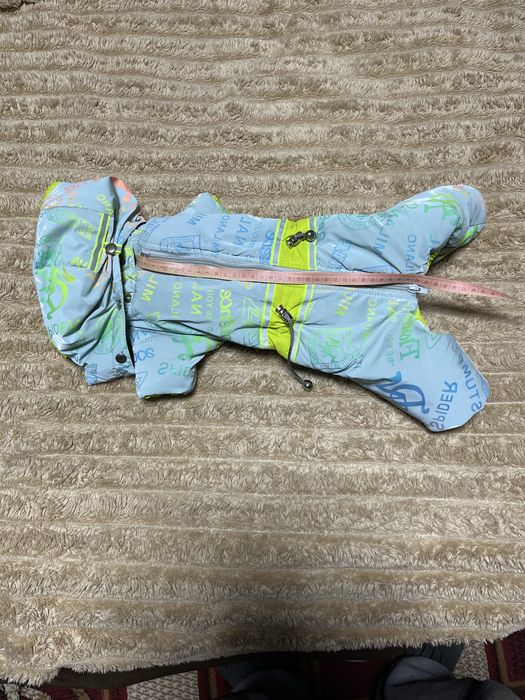 одежда для собак