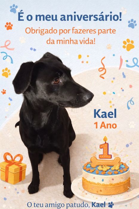 Kael a nossa partuda de 1 ano.   Urgente