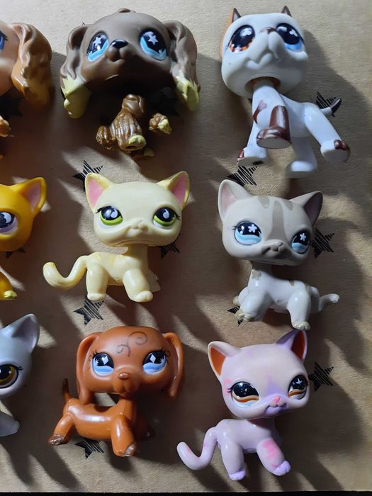 LPS Littlest Pet Shop Pop na wymianę shorthair jamnik spaniel dog