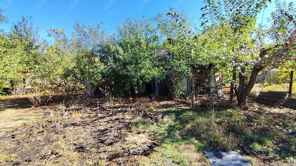 Дача на всі випадки життя!