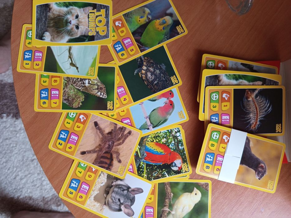 Настільні ігри, тематичні картки
