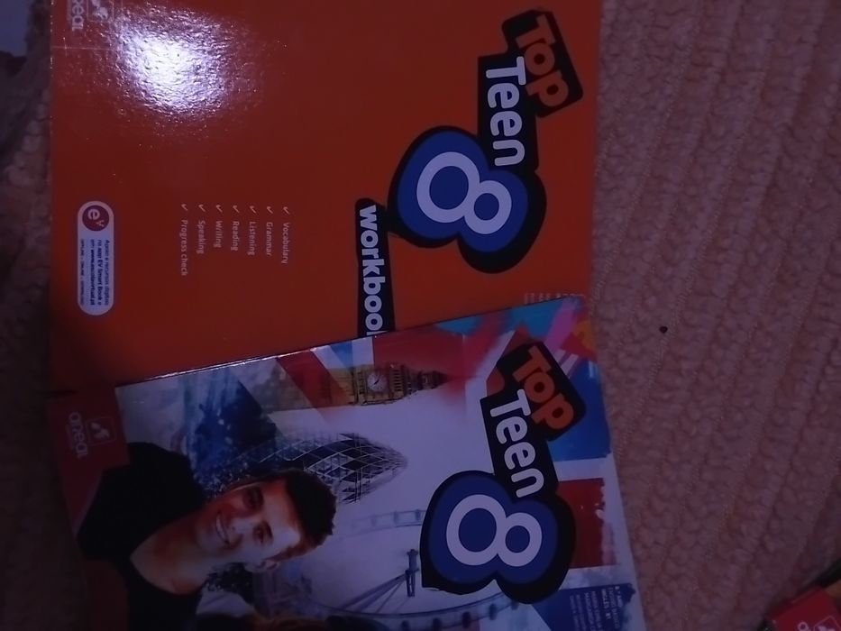 Manuais e livros de fichas do 8°ano