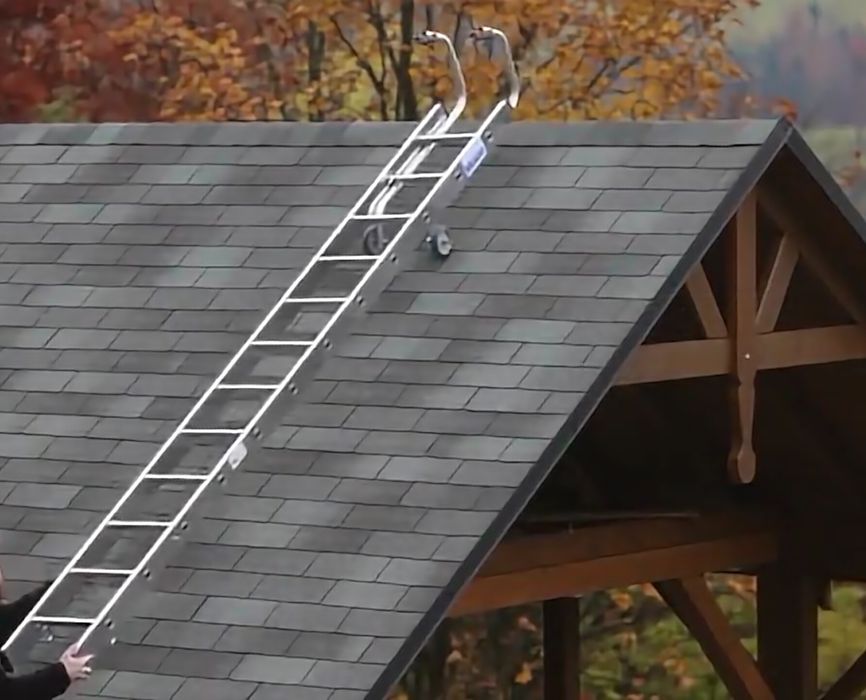 Wynajem,Drabina alu. od 3x7do3X15 szczebli i teleskopowa, rusztowania