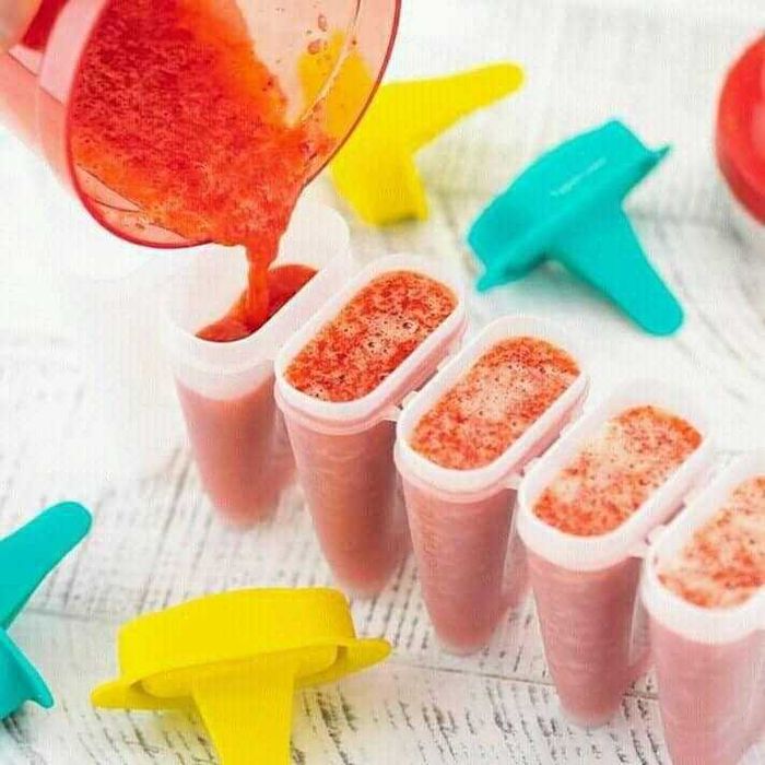 6 Formas para Gelados (novo) - TUPPERWARE