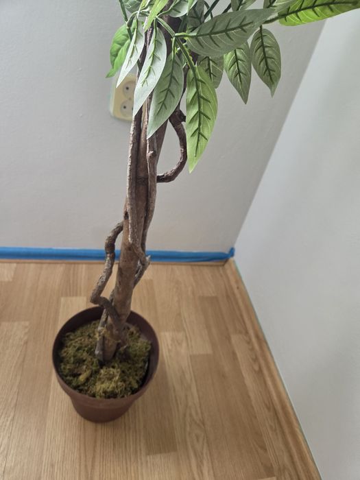 Drzewko Wisteria nowe 180 cm