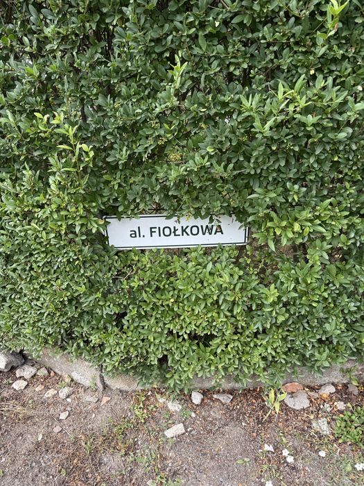 DWIE dzialki ROD Zorza k. Ziemnic x2