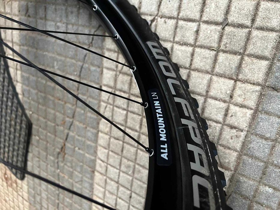 Rodas DT Swiss All Mountain LN 370 30mm 29”