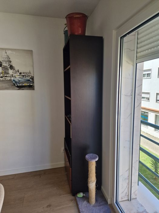 Conjunto de Estantes