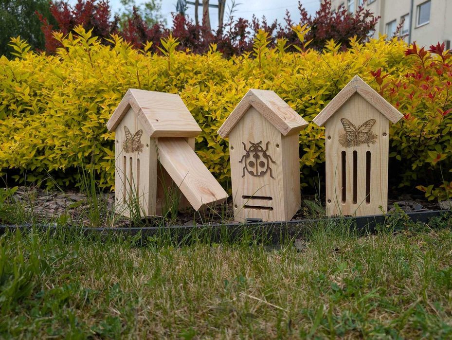 Budka lęgowa dla biedronki lub motyla