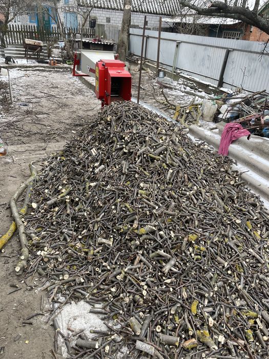 Недороге спилювання дерев без ризику