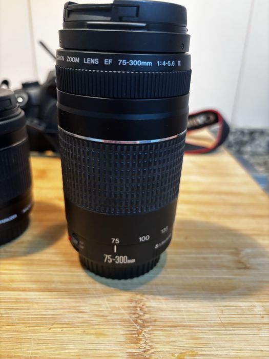 Canon 4000D c/ acessorios