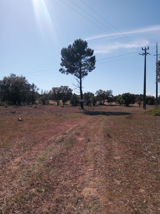 Quinta do anjo/Palmela Terreno Urbano 9625m2 Palmela • OLX Portugal