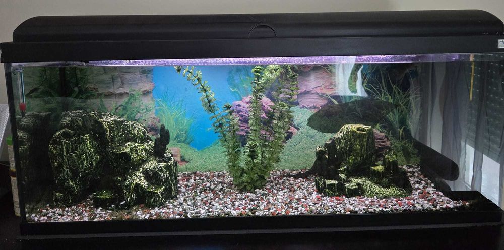 Aquário Aquatlantis Aquardream 100