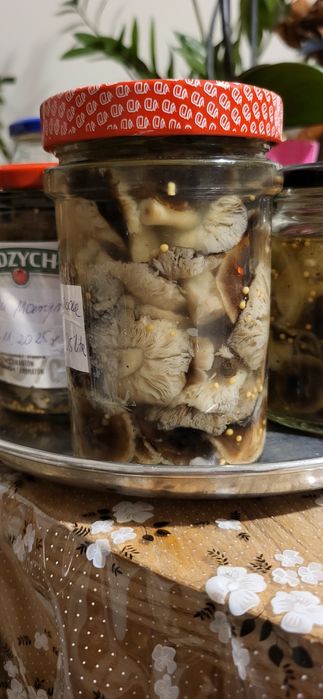 Marynowane grzyby