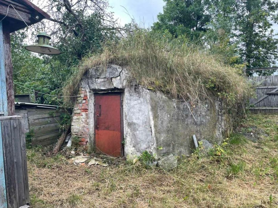 Продаж. Будинок, земельна ділянка 25 сот, с. Нова Рудня