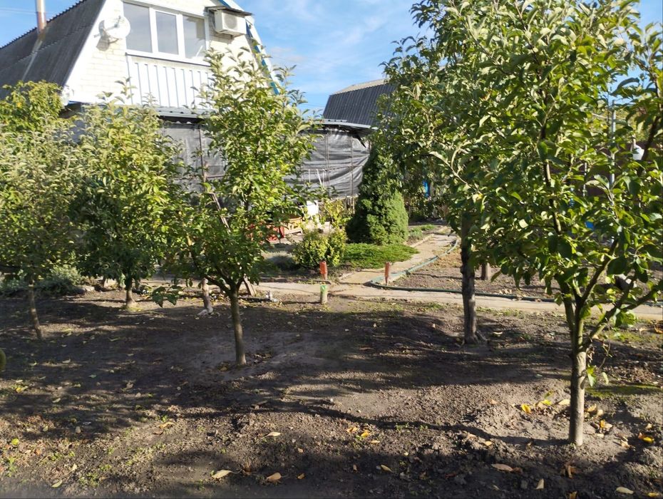 Доглянута двоповерхова дача з садом с. Щербаки, Полтавська область