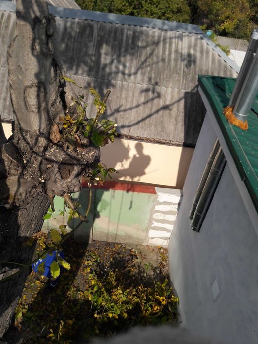 Удаление аварийных деревьев