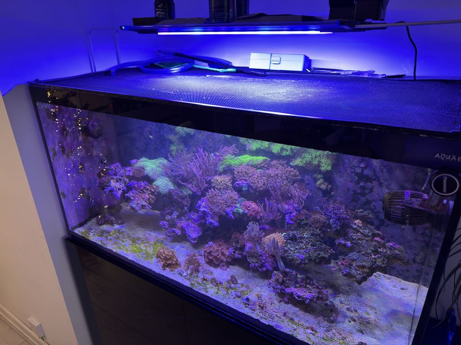 Akwarium morskie pełny zestaw