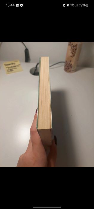 Livro: Princesas secretas- férias reais