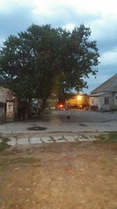 Комплекс ферм 2022