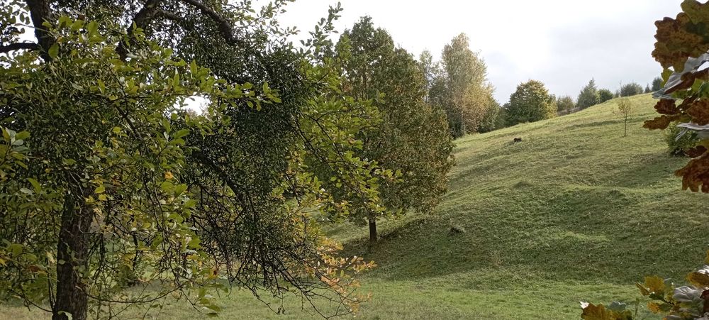 Продаю чудову ділянку у чудовому місці на курорті Поляна