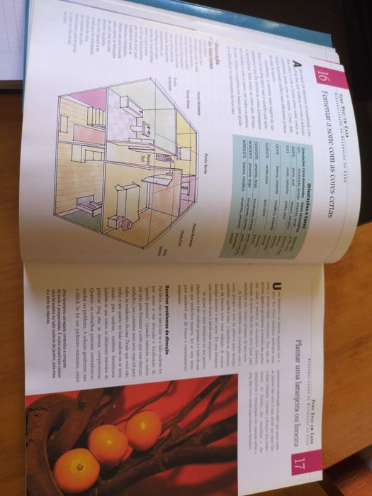 Guia Prático de Feng Shui de Lillian Too