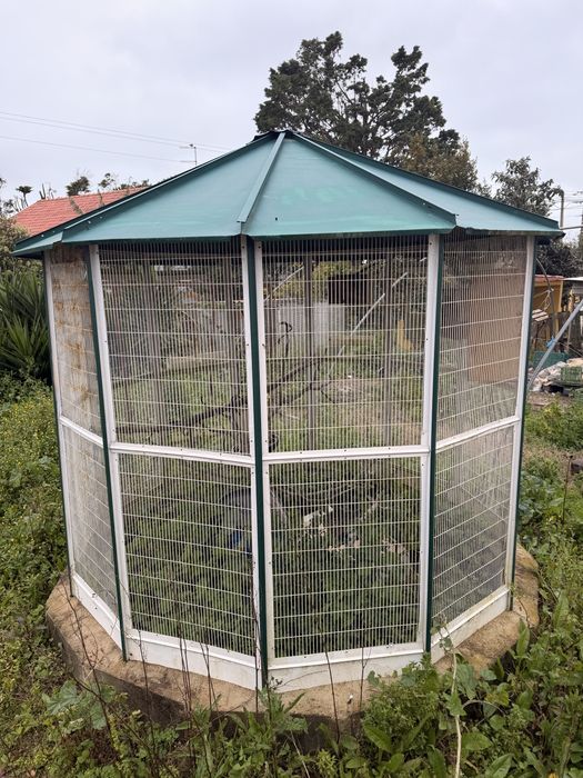 Viveiro para passaros