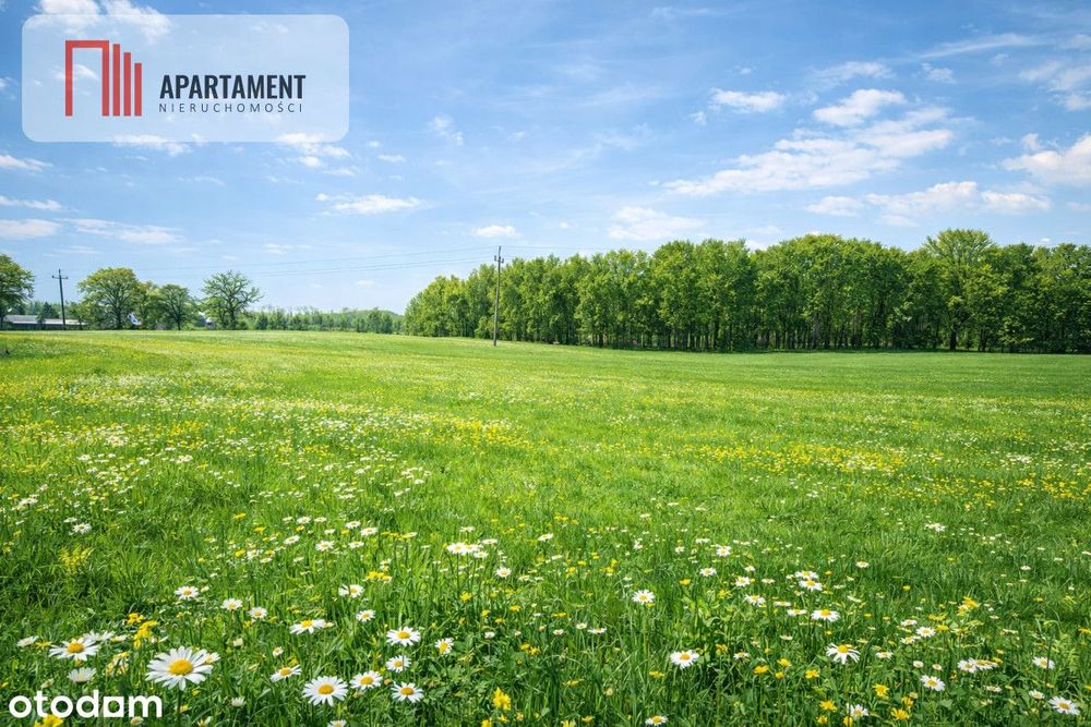 Na sprzedaż działka rolna 5 ha