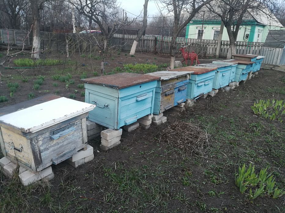Ульи  для  пчел.
