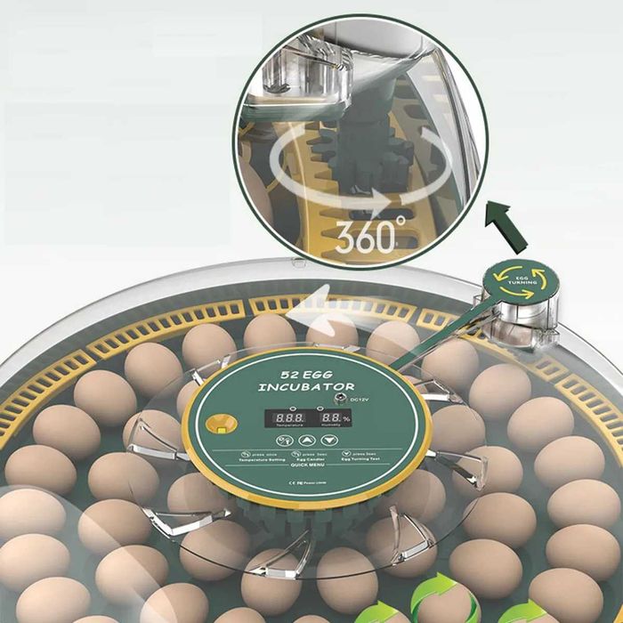 Inkubator do jaj automatyczny z wyświetlaczem wilgotności OVOstart 52