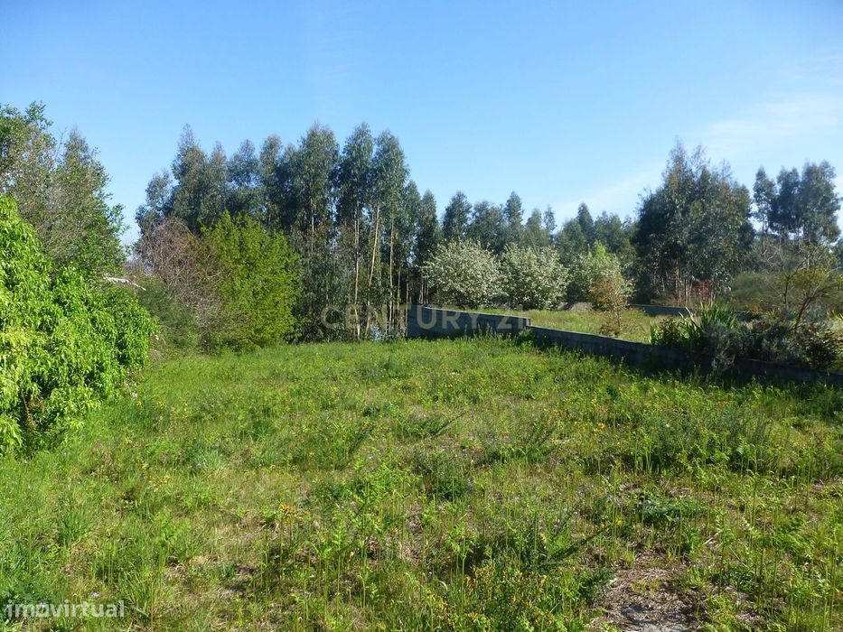 Terreno para construção com 900 m2 no Alto da Bandeira- Aves