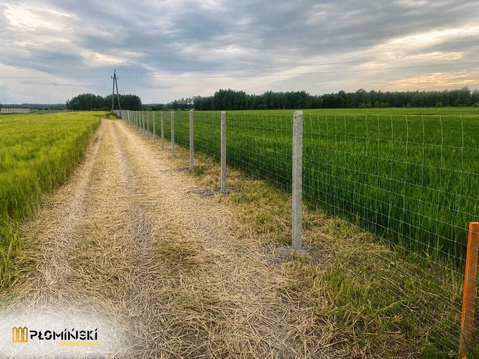 Ogrodzenie pola – siatka leśna i słupki betonowe z montażem