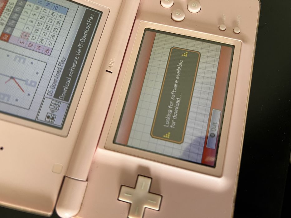 Nintendo DS Lite