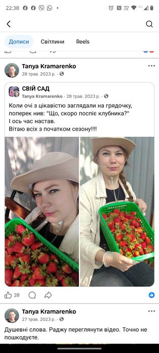 Полуниця Гігантелла саджанці